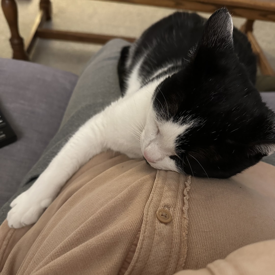 Photo shared by Brooke for their Babylist baby registry.