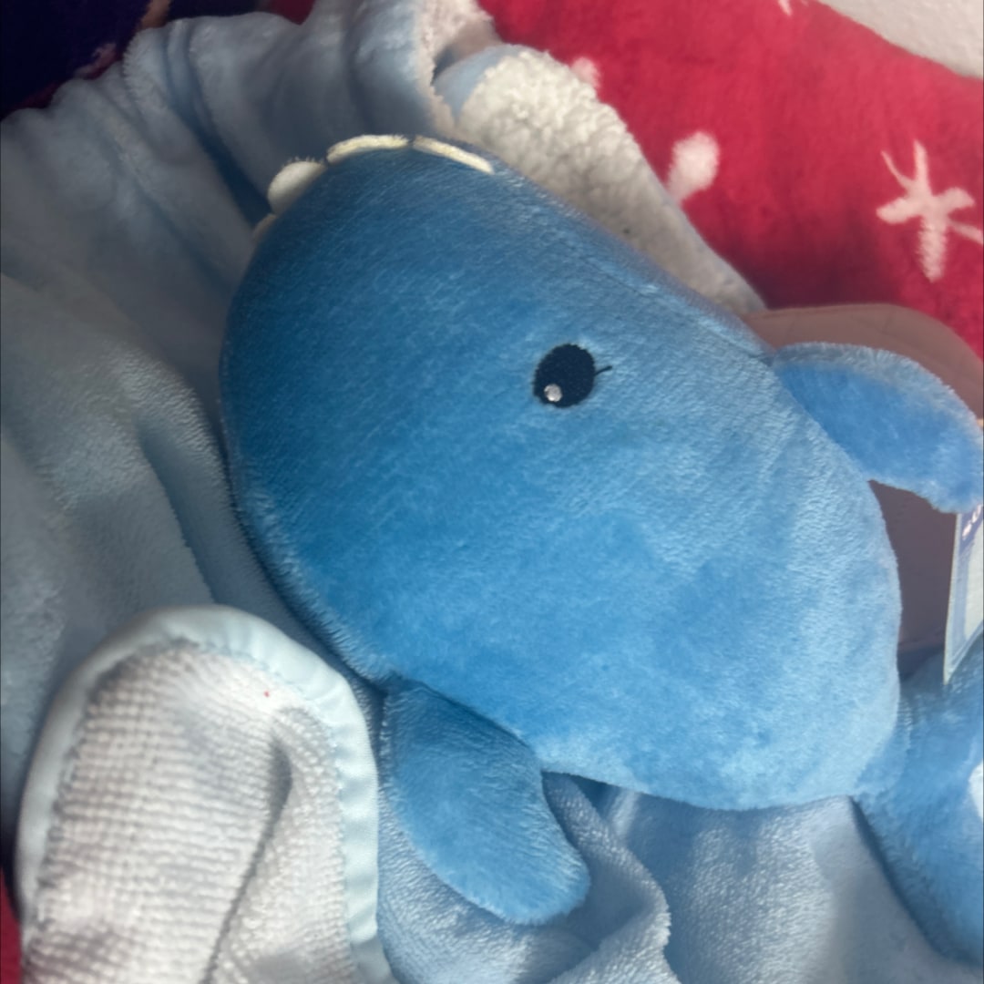 Photo shared by Sonia for their Babylist baby registry.