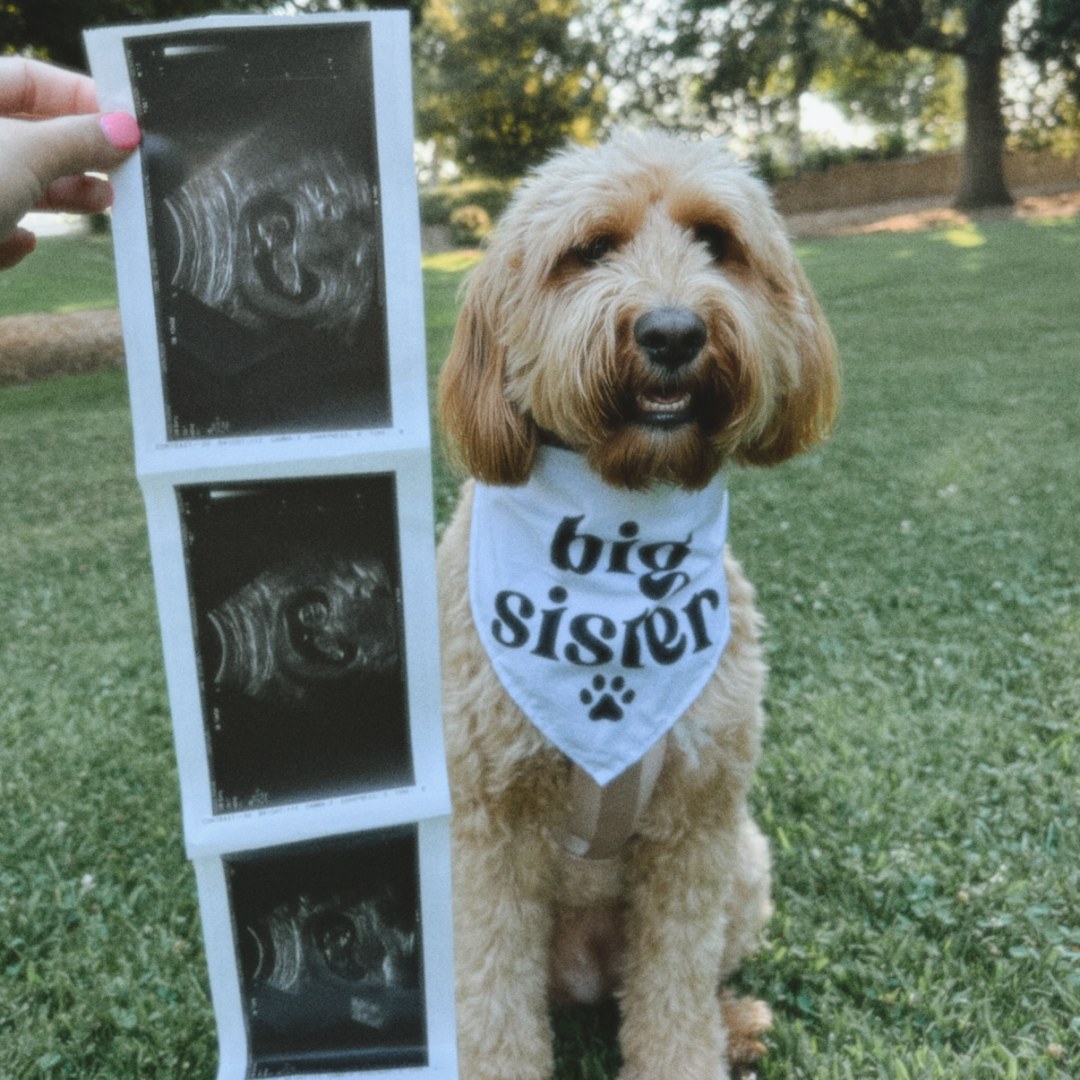 Photo shared by Andrea for their Babylist baby registry.