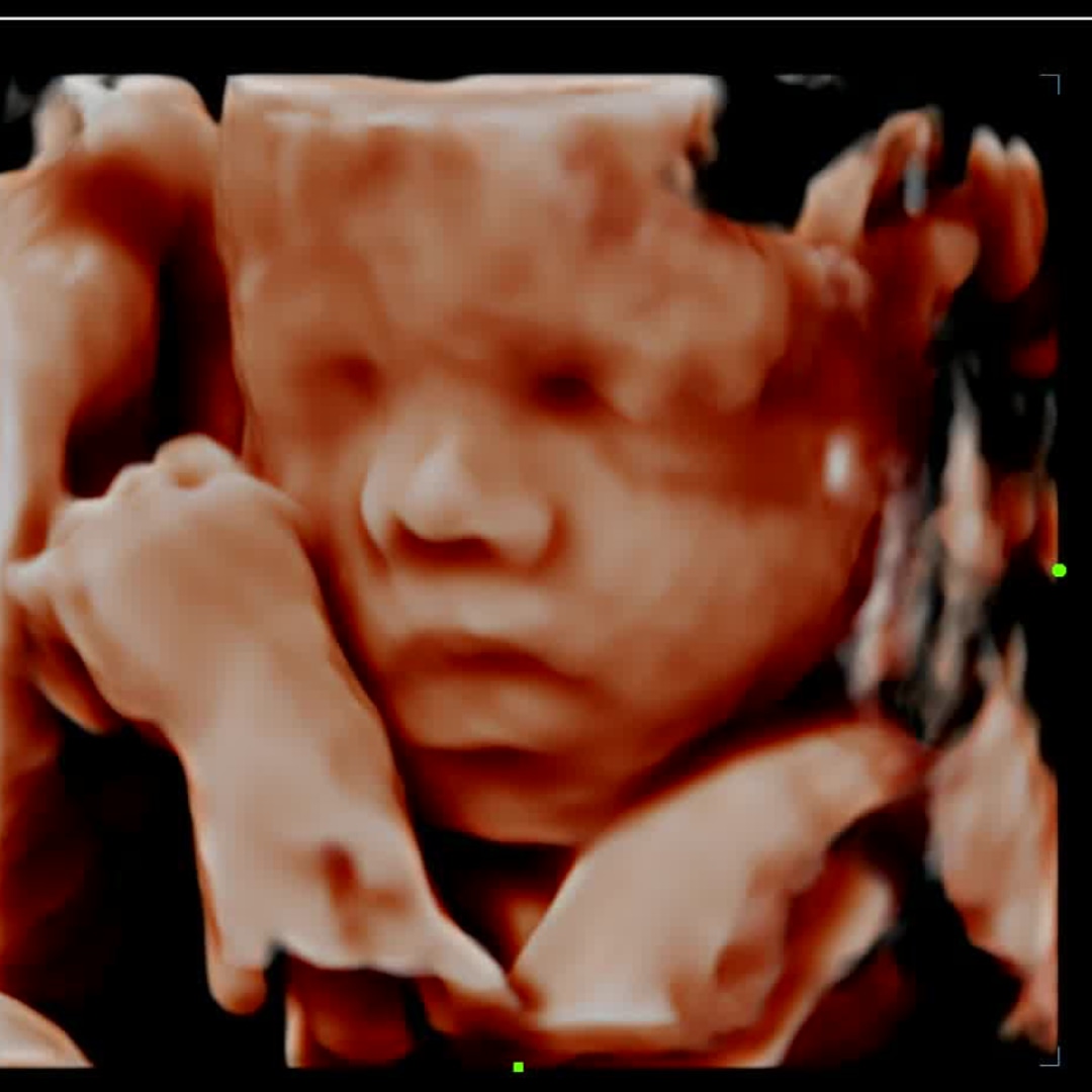 Photo shared by Abbie for their Babylist baby registry.