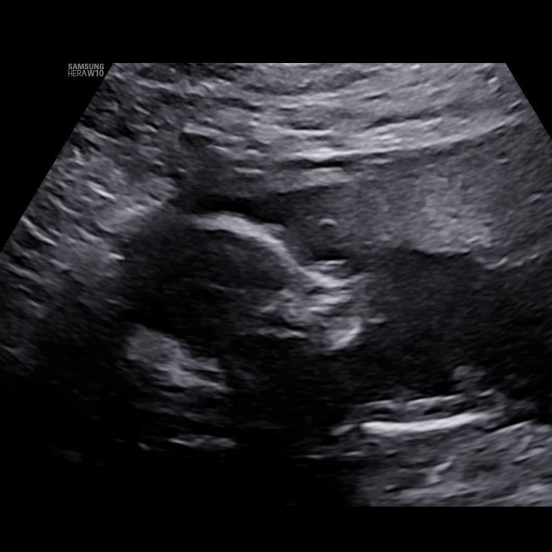 Photo shared by Guaddy for their Babylist baby registry.