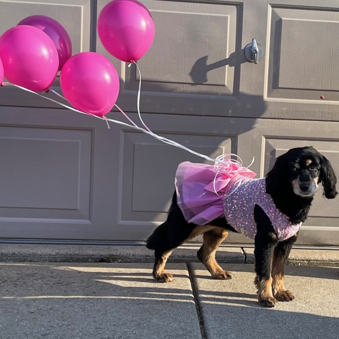 Photo shared by Gina for their Babylist baby registry.