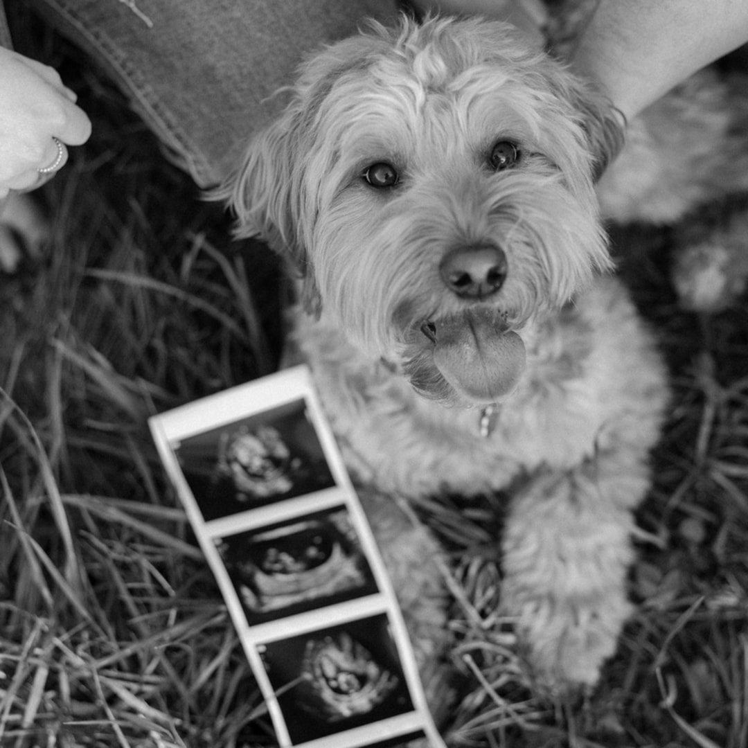 Photo shared by Sarah for their Babylist baby registry.