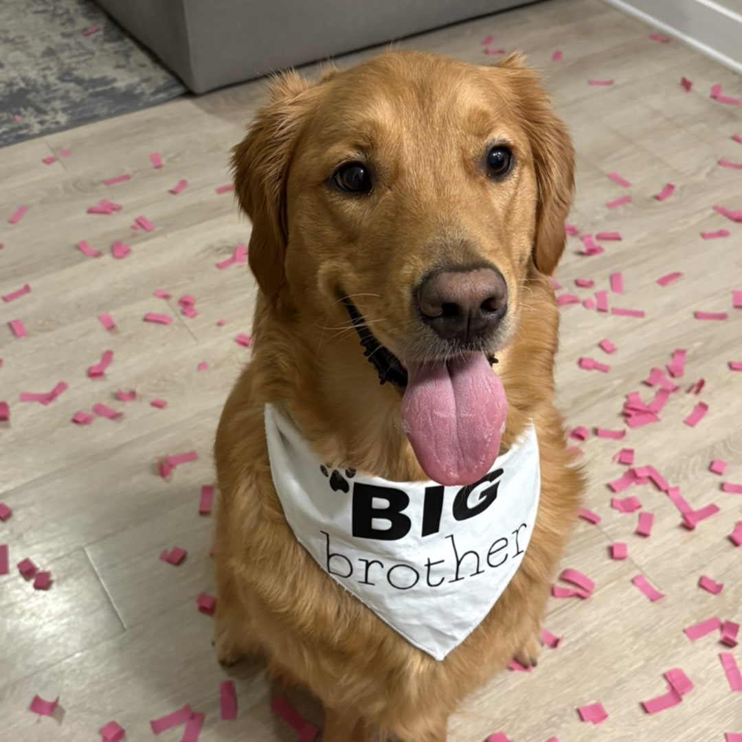 Photo shared by Maggie for their Babylist baby registry.