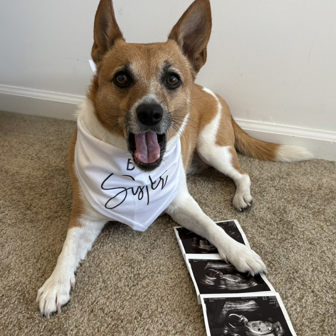 Photo shared by Elizabeth for their Babylist baby registry.