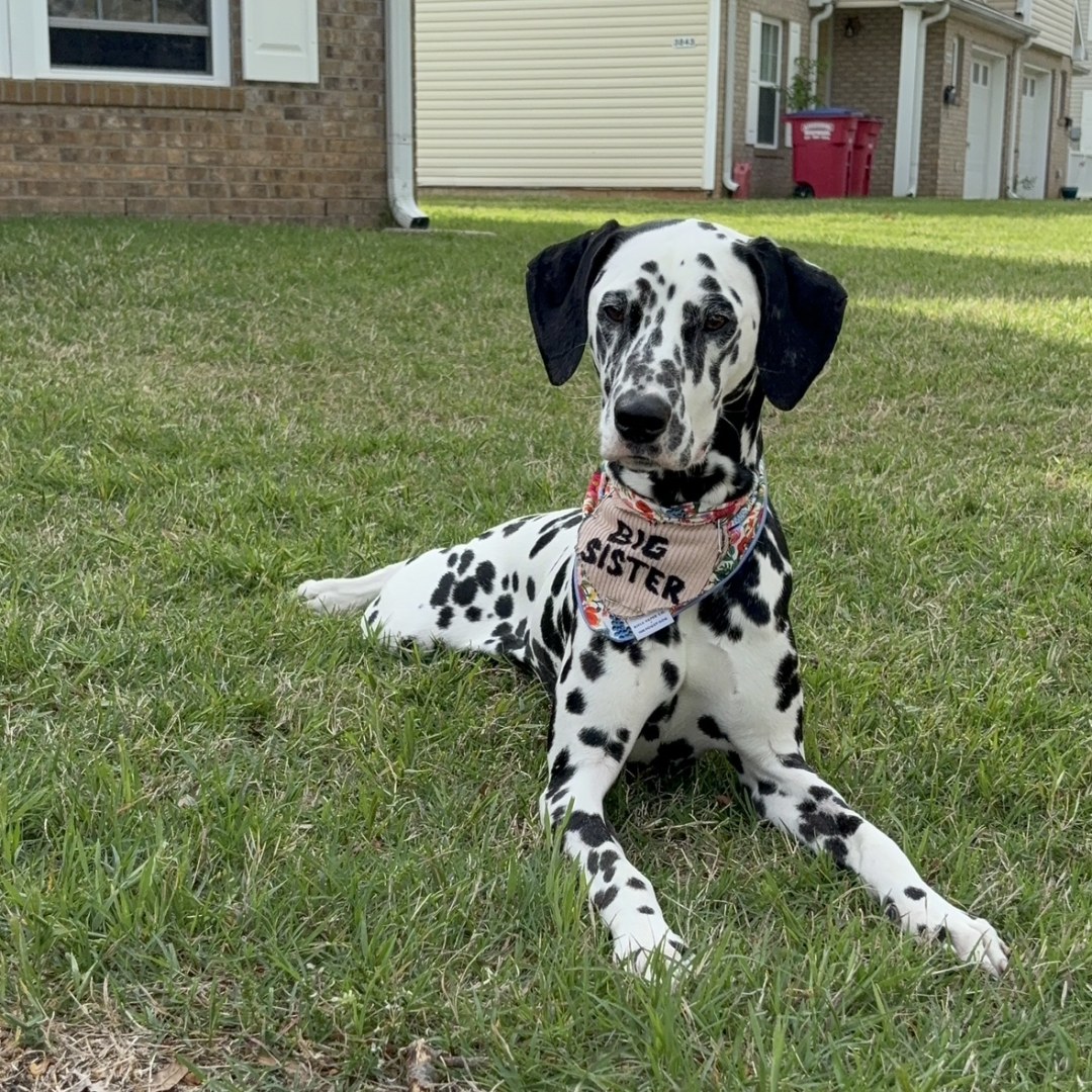 Photo shared by Kathy for their Babylist baby registry.