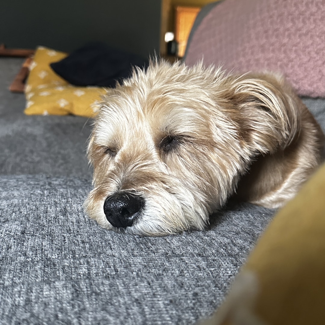 Photo shared by Cecilia for their Babylist baby registry.