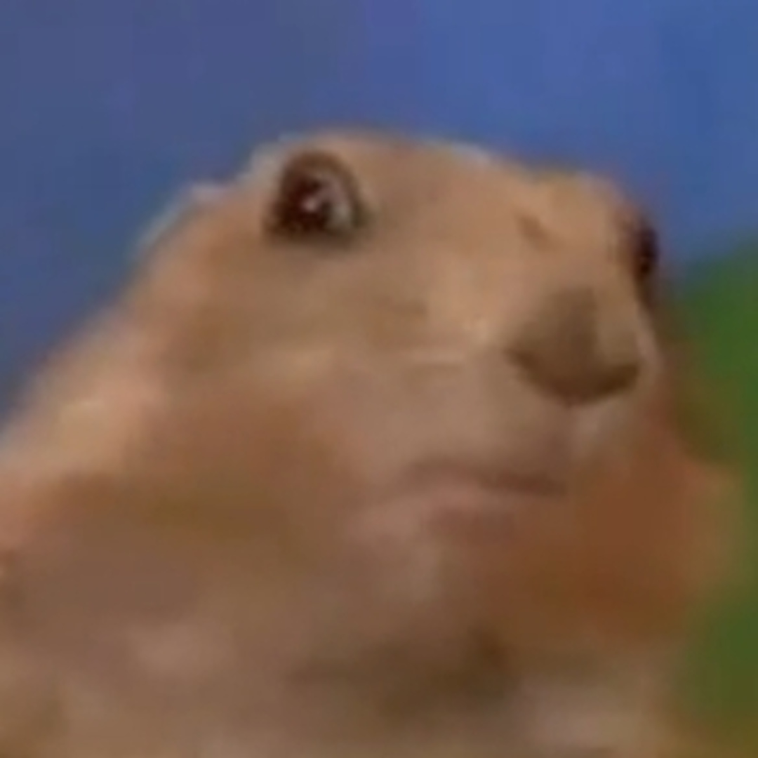 Photo shared by Cailin for their Babylist baby registry.