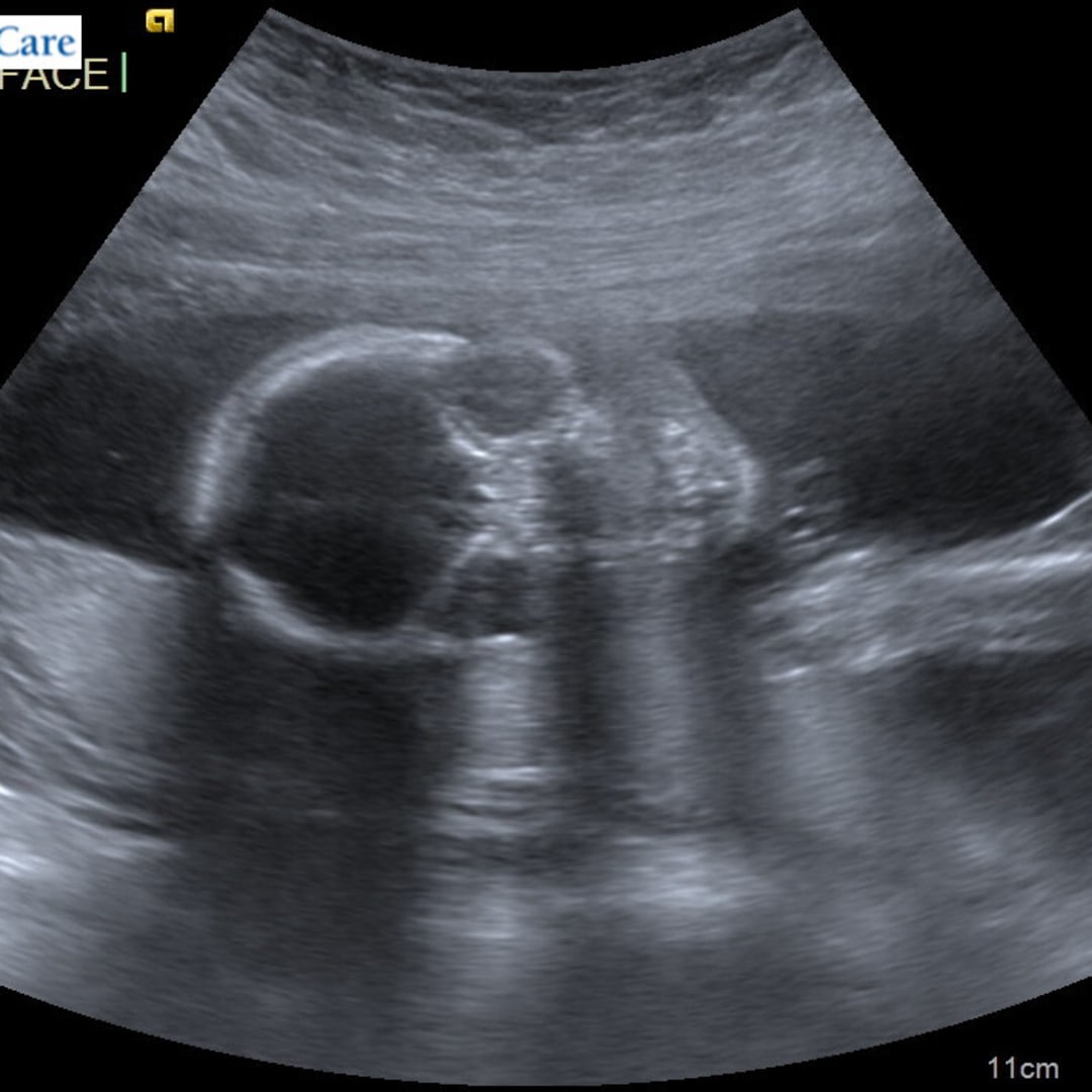 Photo shared by Athena for their Babylist baby registry.