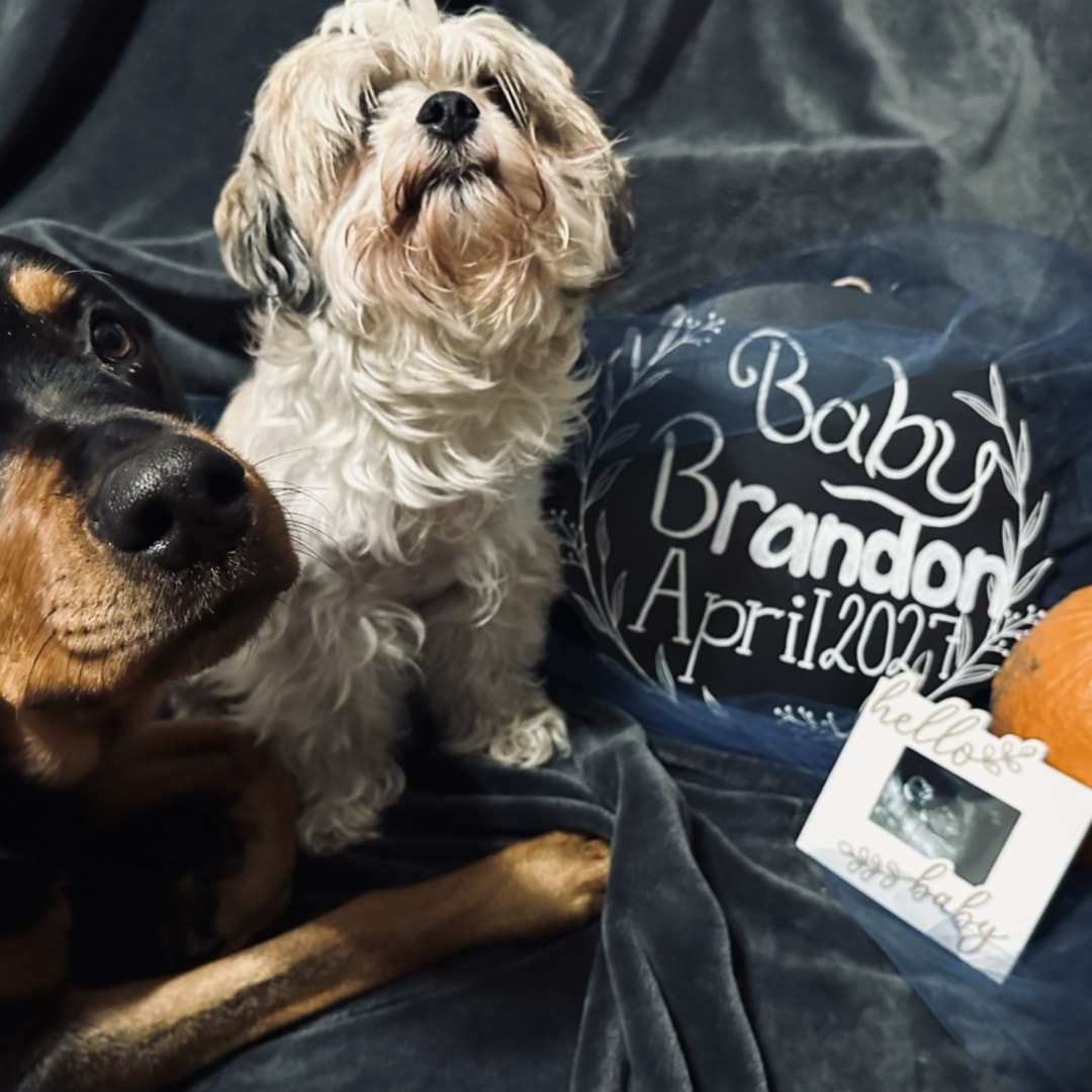 Photo shared by Emalee for their Babylist baby registry.