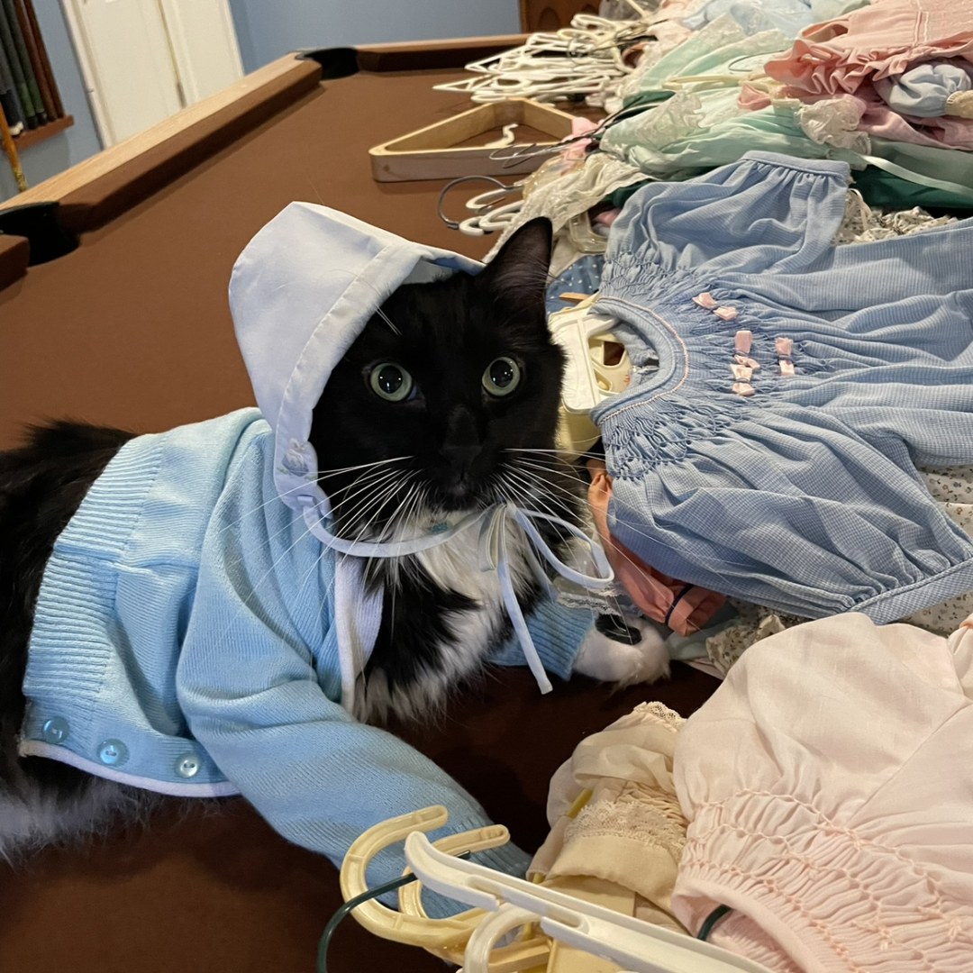 Photo shared by Abbey for their Babylist baby registry.