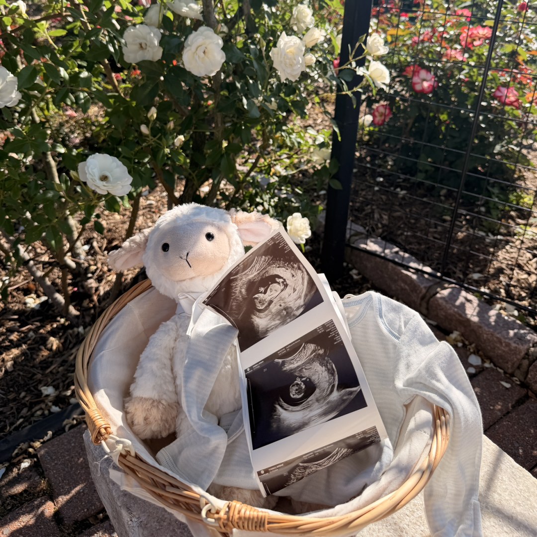 Photo shared by Ambar for their Babylist baby registry.