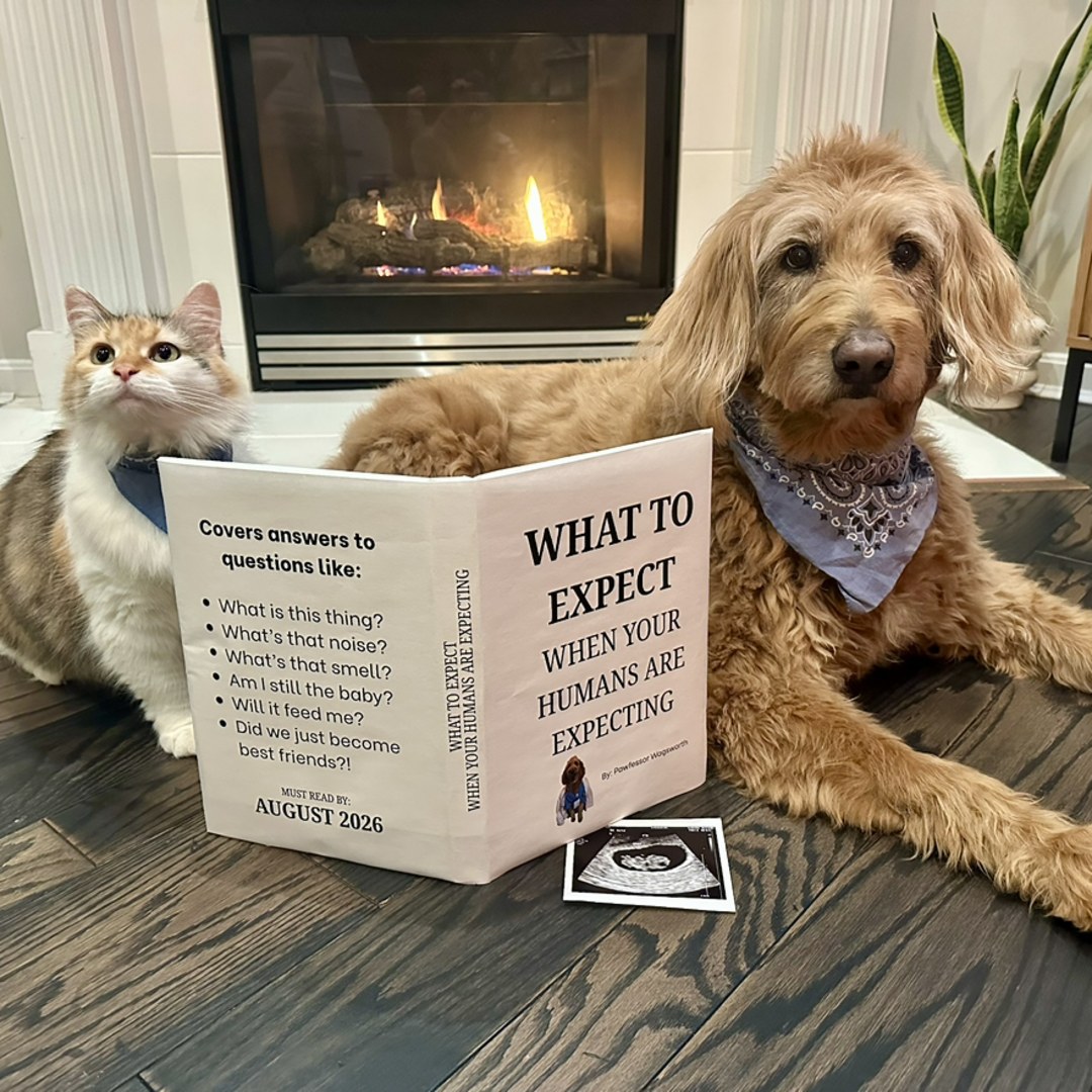 Photo shared by Kelsey for their Babylist baby registry.