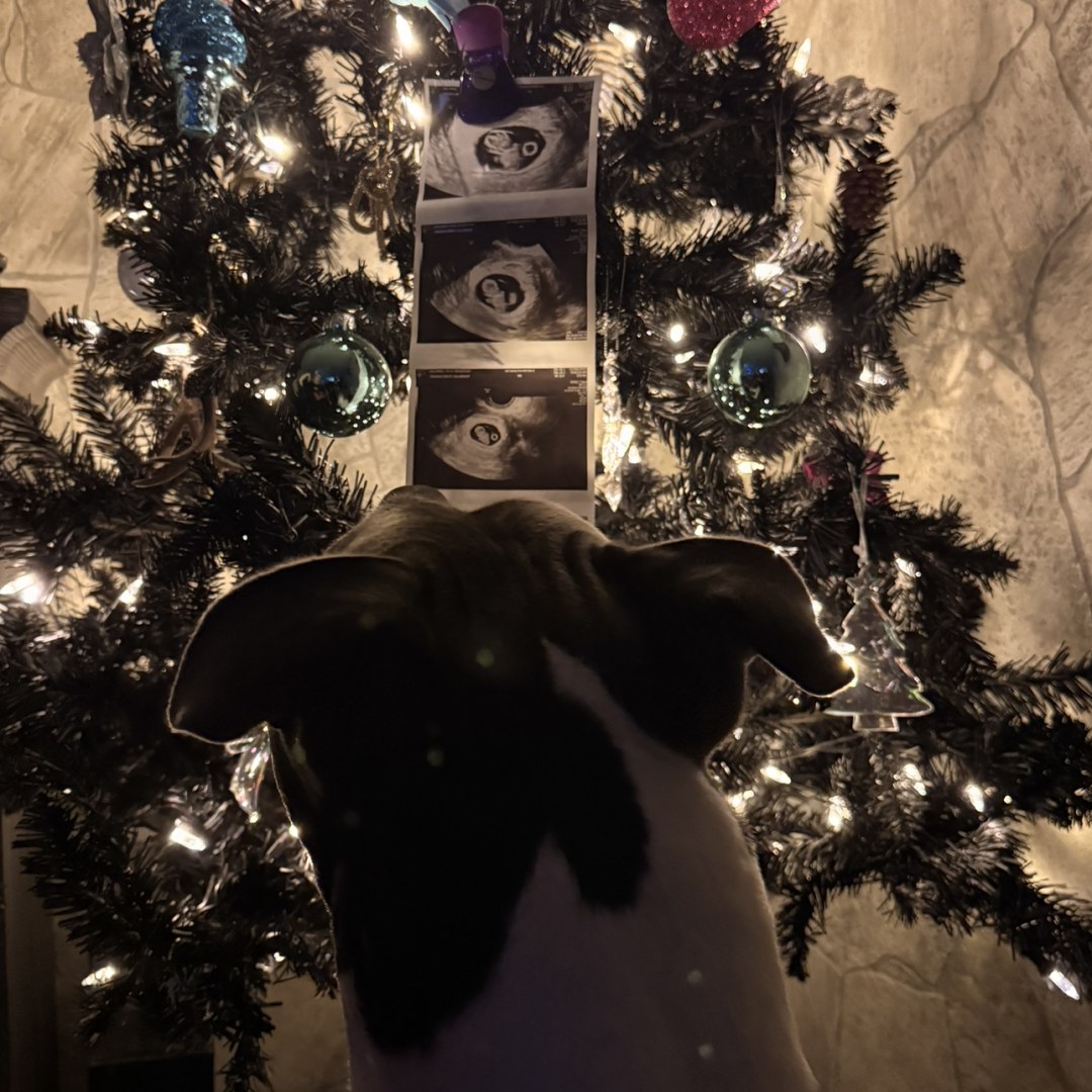 Photo shared by Julia for their Babylist baby registry.