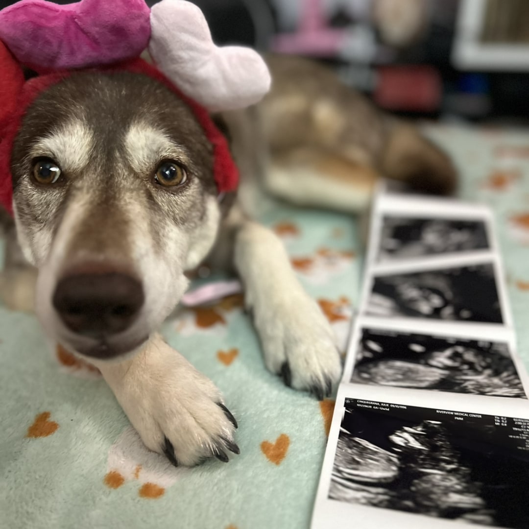 Photo shared by Julie for their Babylist baby registry.