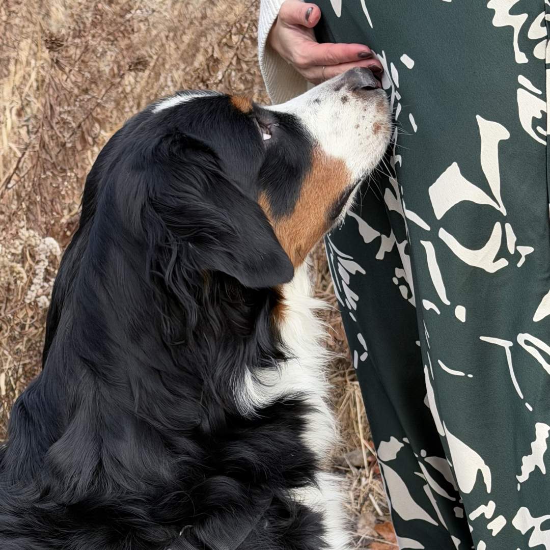 Photo shared by Kylie for their Babylist baby registry.