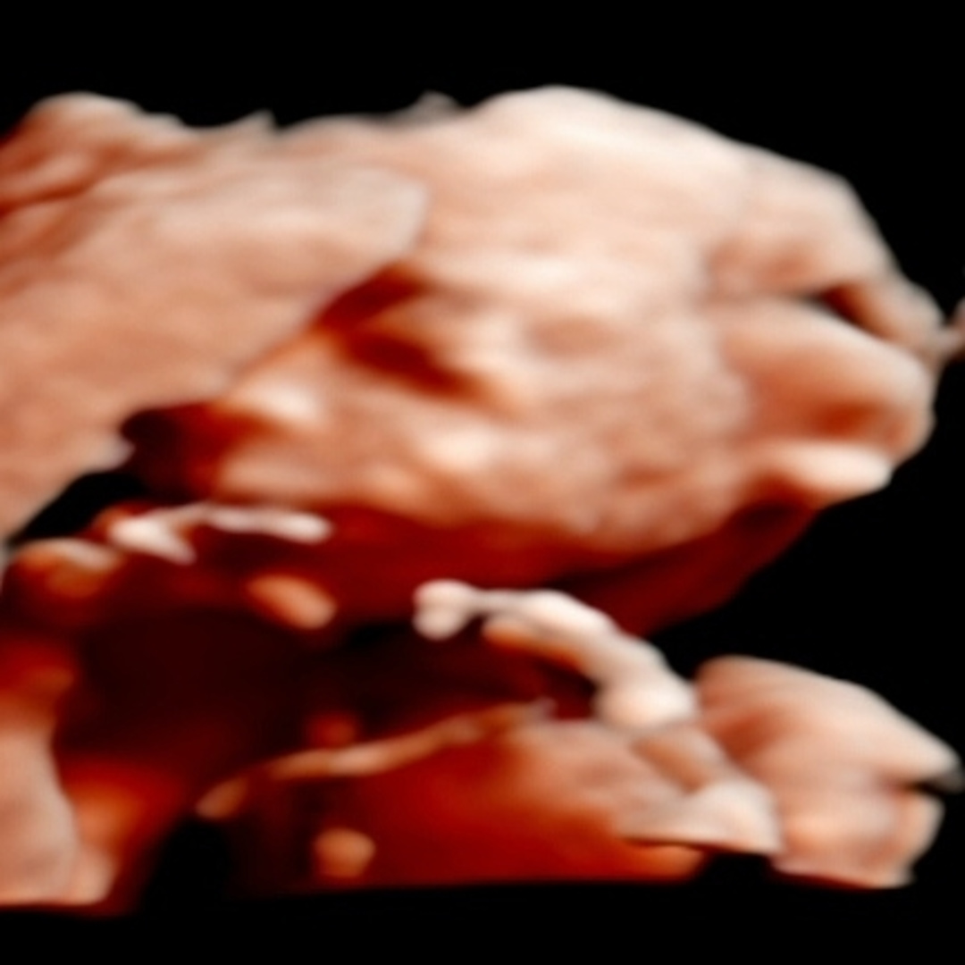 Photo shared by Alexa for their Babylist baby registry.