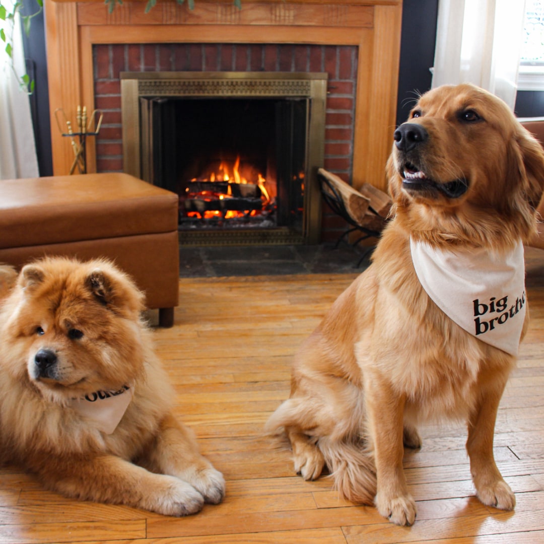 Photo shared by Alyssa for their Babylist baby registry.