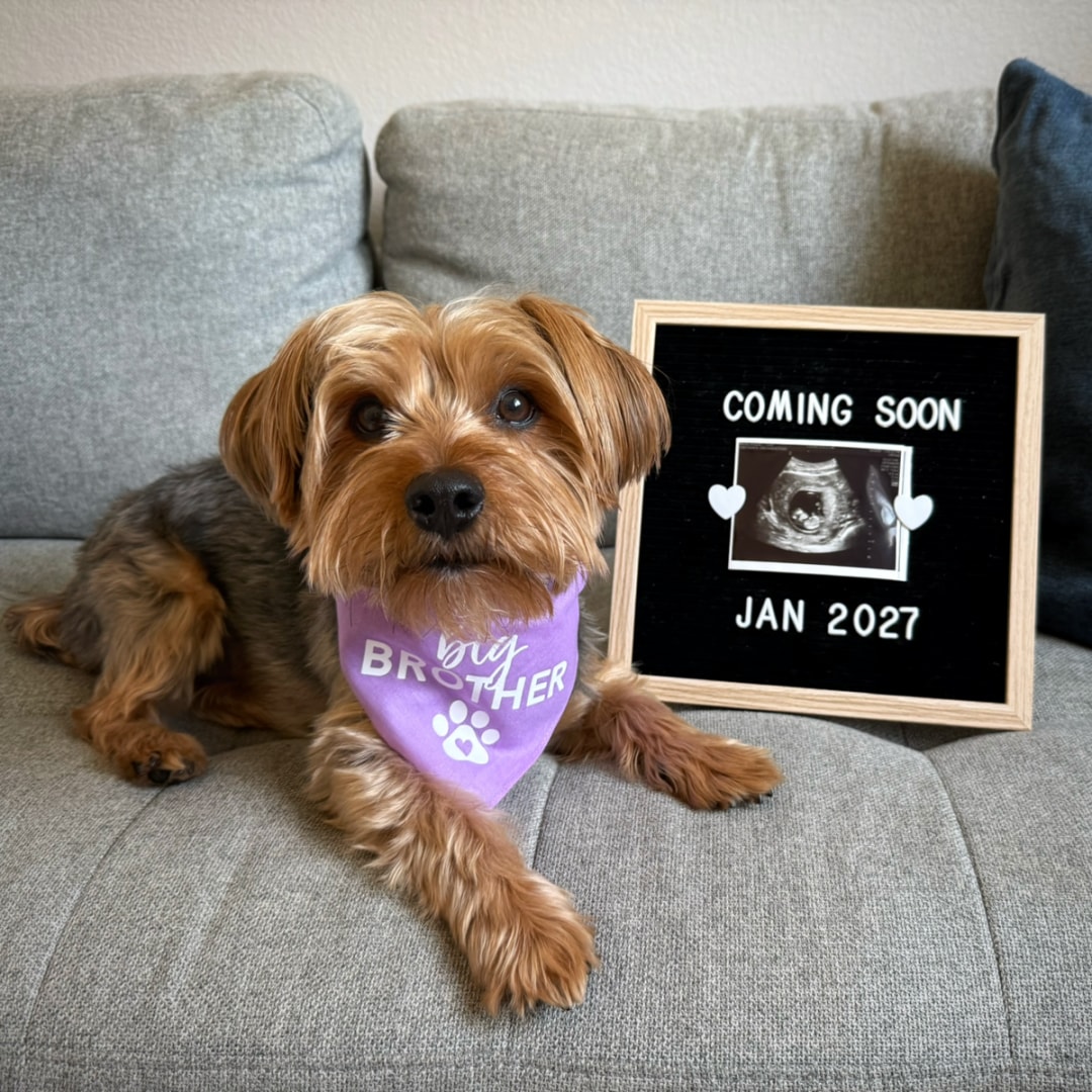 Photo shared by Ana for their Babylist baby registry.