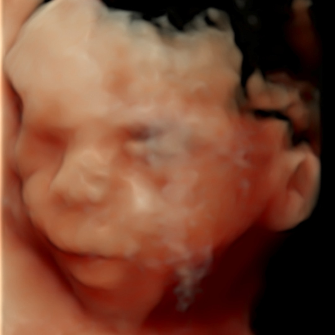 Photo shared by Brittanni for their Babylist baby registry.
