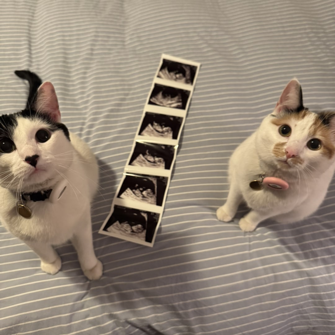 Photo shared by Molly for their Babylist baby registry.