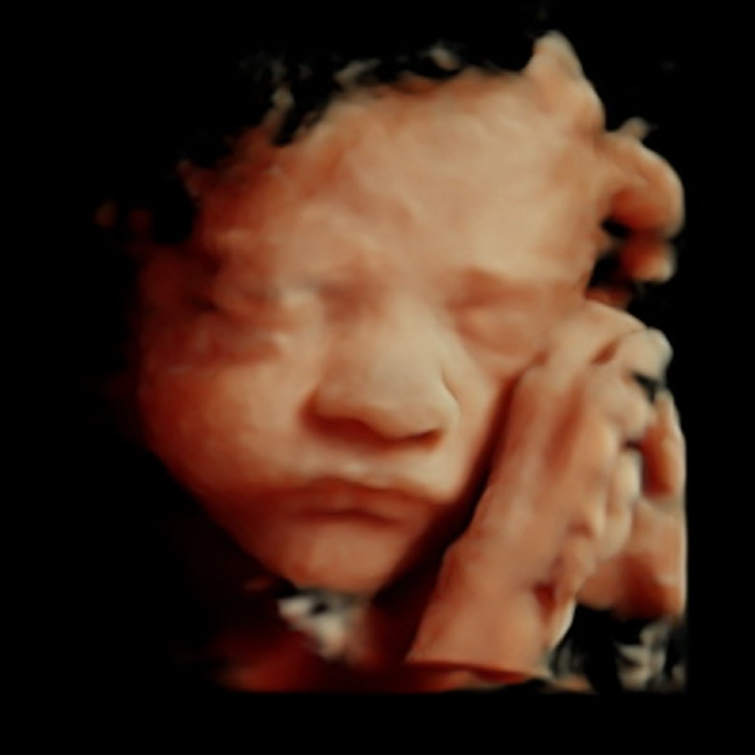 Photo shared by McKenna for their Babylist baby registry.