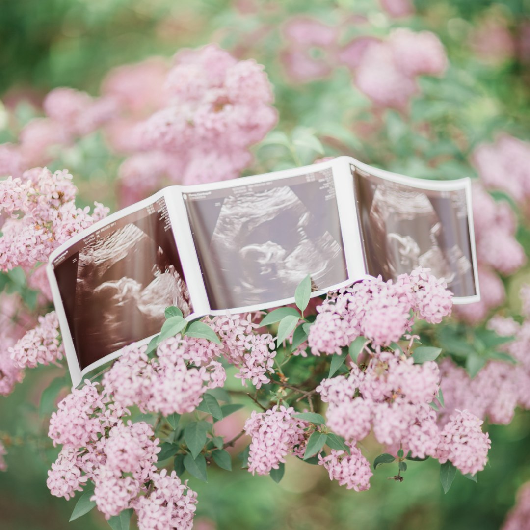 Photo shared by Courtney for their Babylist baby registry.
