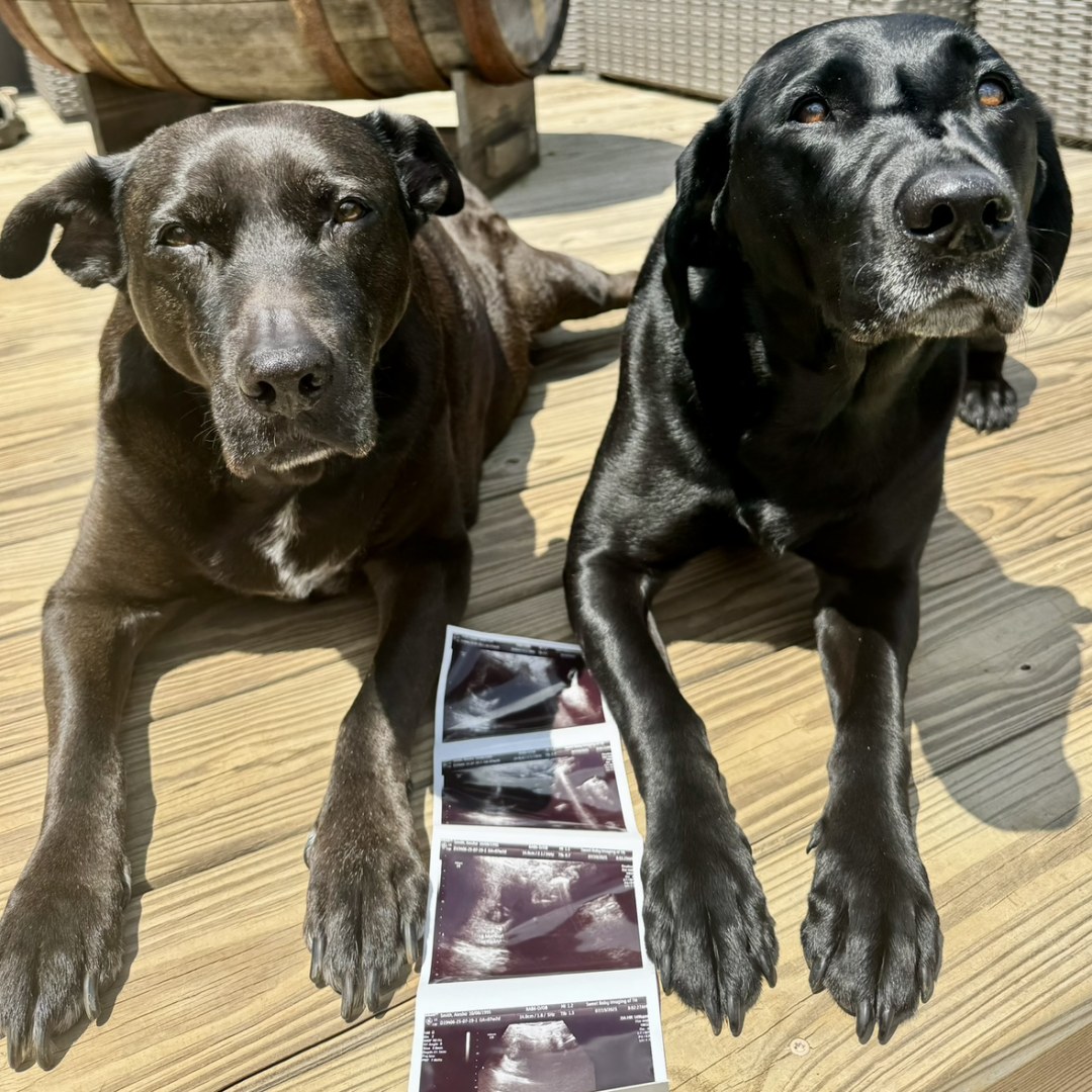 Photo shared by Aiesha for their Babylist baby registry.