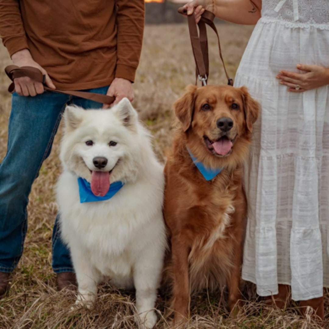Photo shared by Abby for their Babylist baby registry.