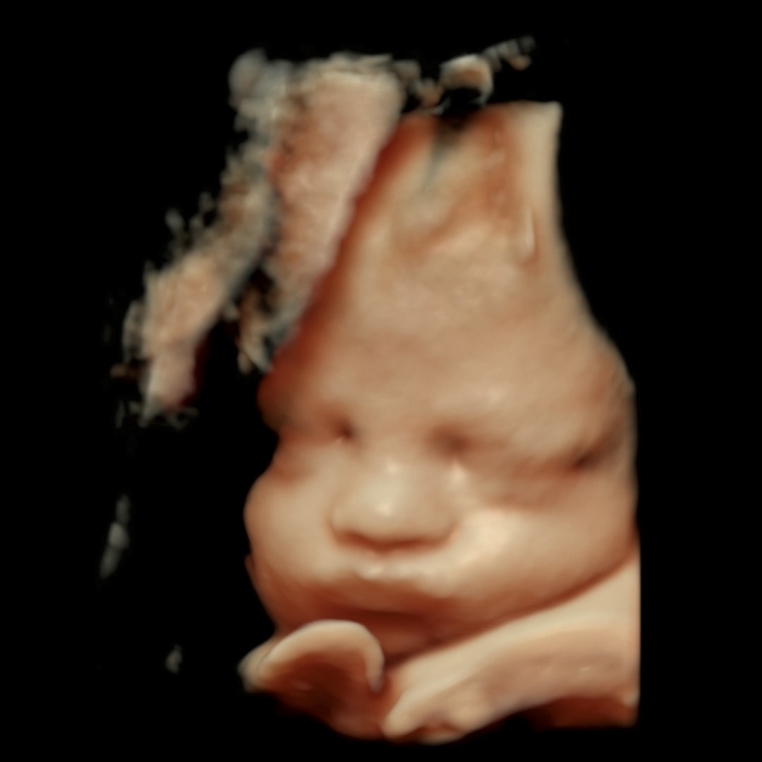 Photo shared by Sarah for their Babylist baby registry.