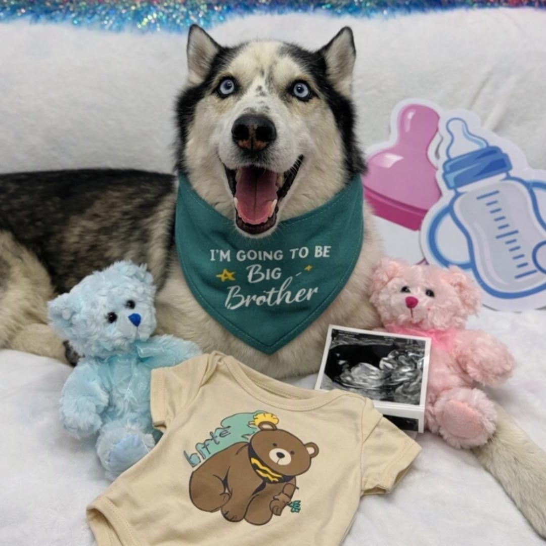Photo shared by LaToya for their Babylist baby registry.