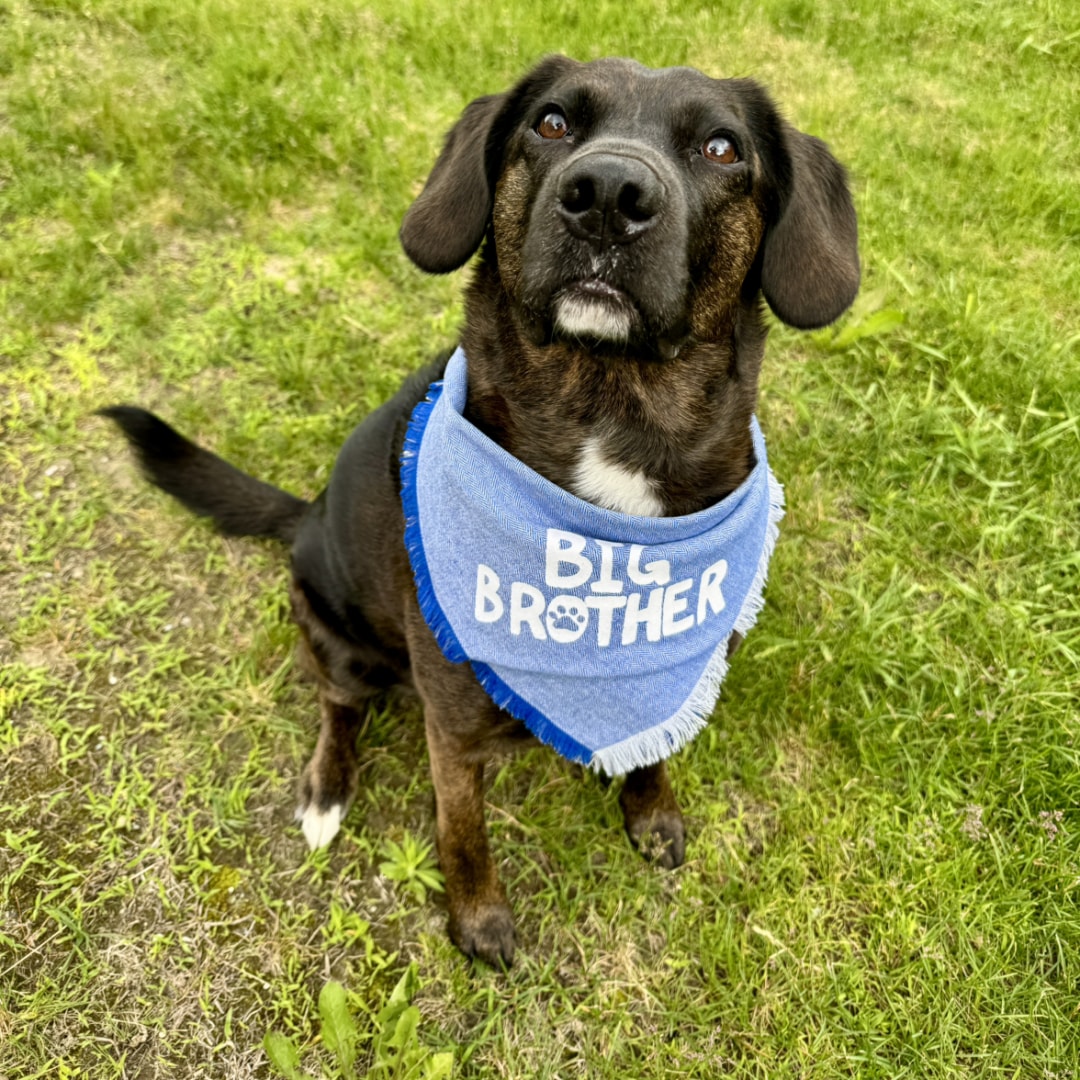 Photo shared by Mora for their Babylist baby registry.