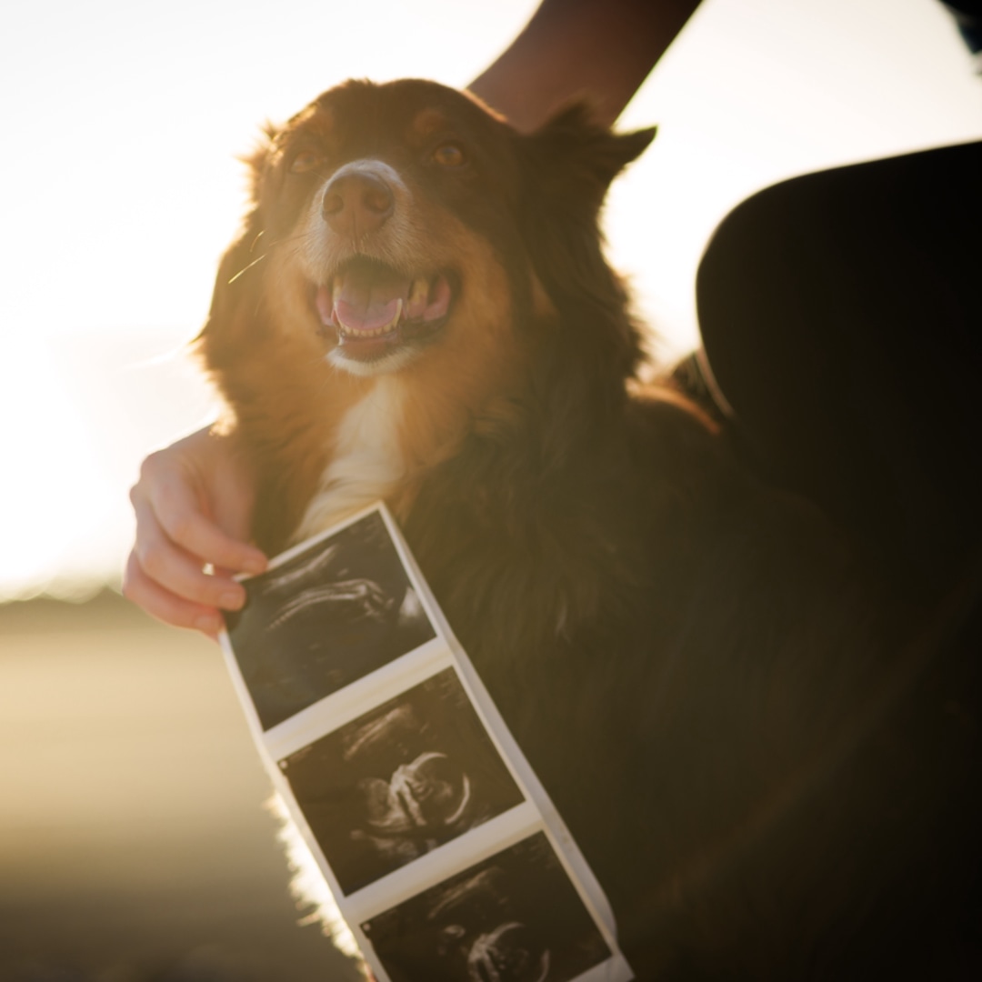 Photo shared by Lauren for their Babylist baby registry.