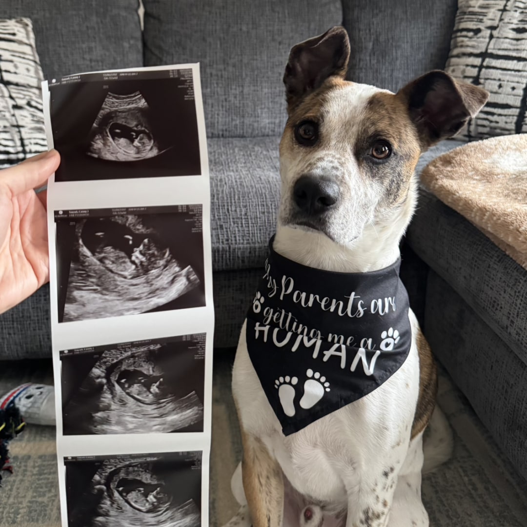 Photo shared by Casey for their Babylist baby registry.
