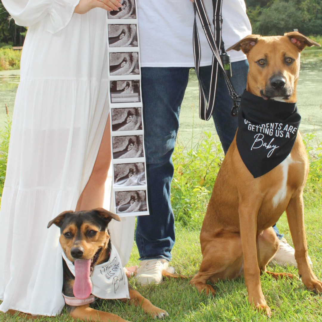 Photo shared by Kailey for their Babylist baby registry.