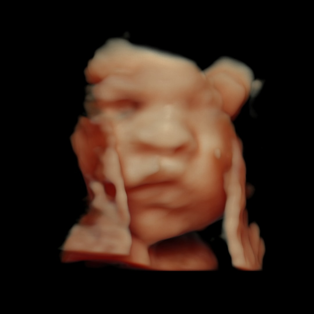 Photo shared by Jesseka for their Babylist baby registry.