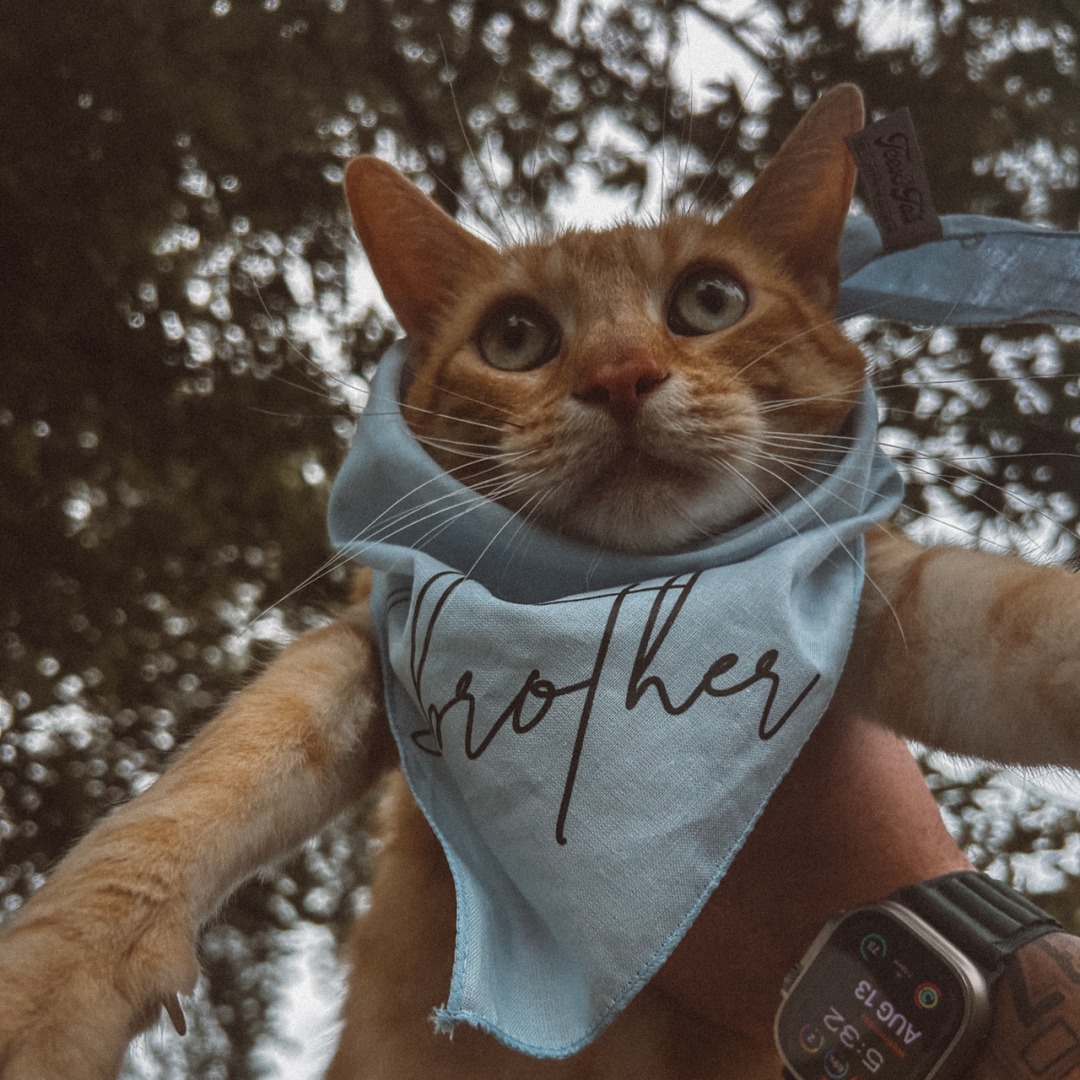 Photo shared by Macy for their Babylist baby registry.