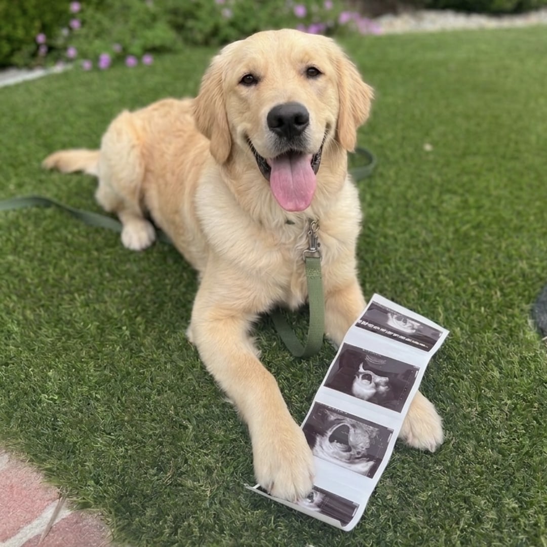 Photo shared by Catie for their Babylist baby registry.