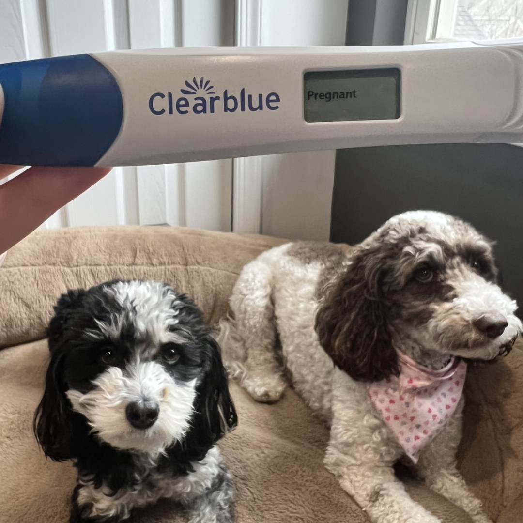 Photo shared by Jordan for their Babylist baby registry.