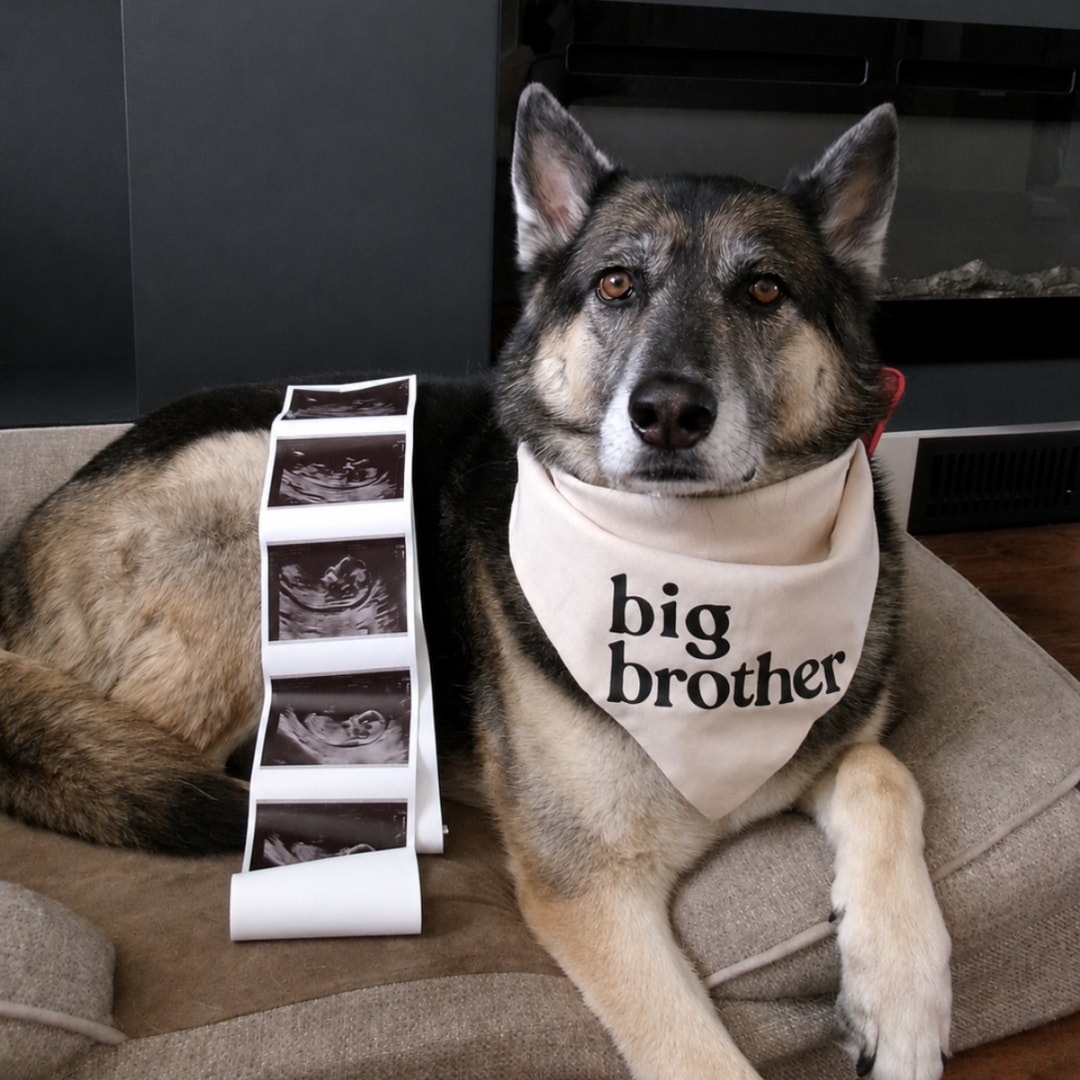 Photo shared by Chelsea for their Babylist baby registry.