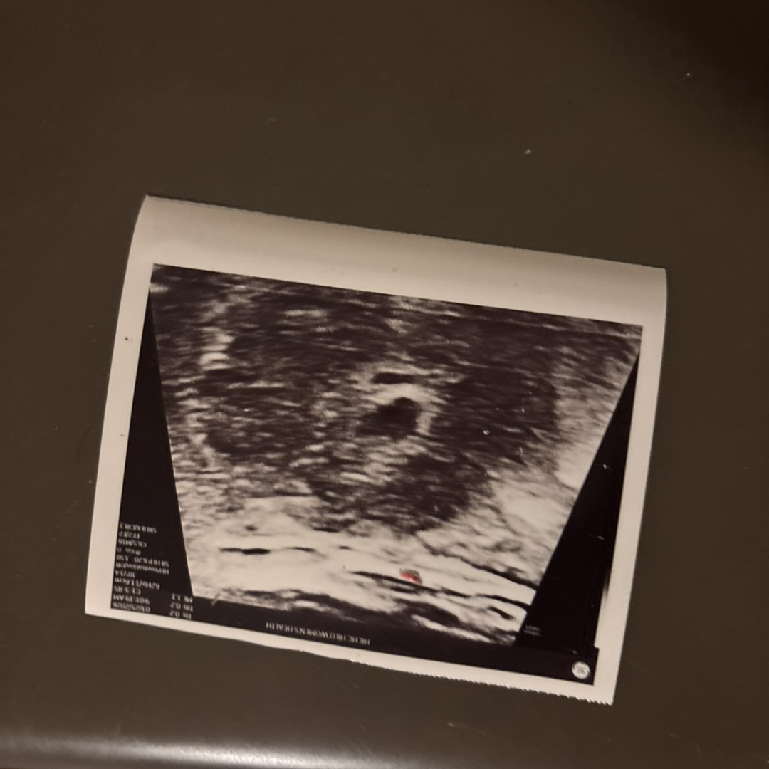 Photo shared by Tehani for their Babylist baby registry.