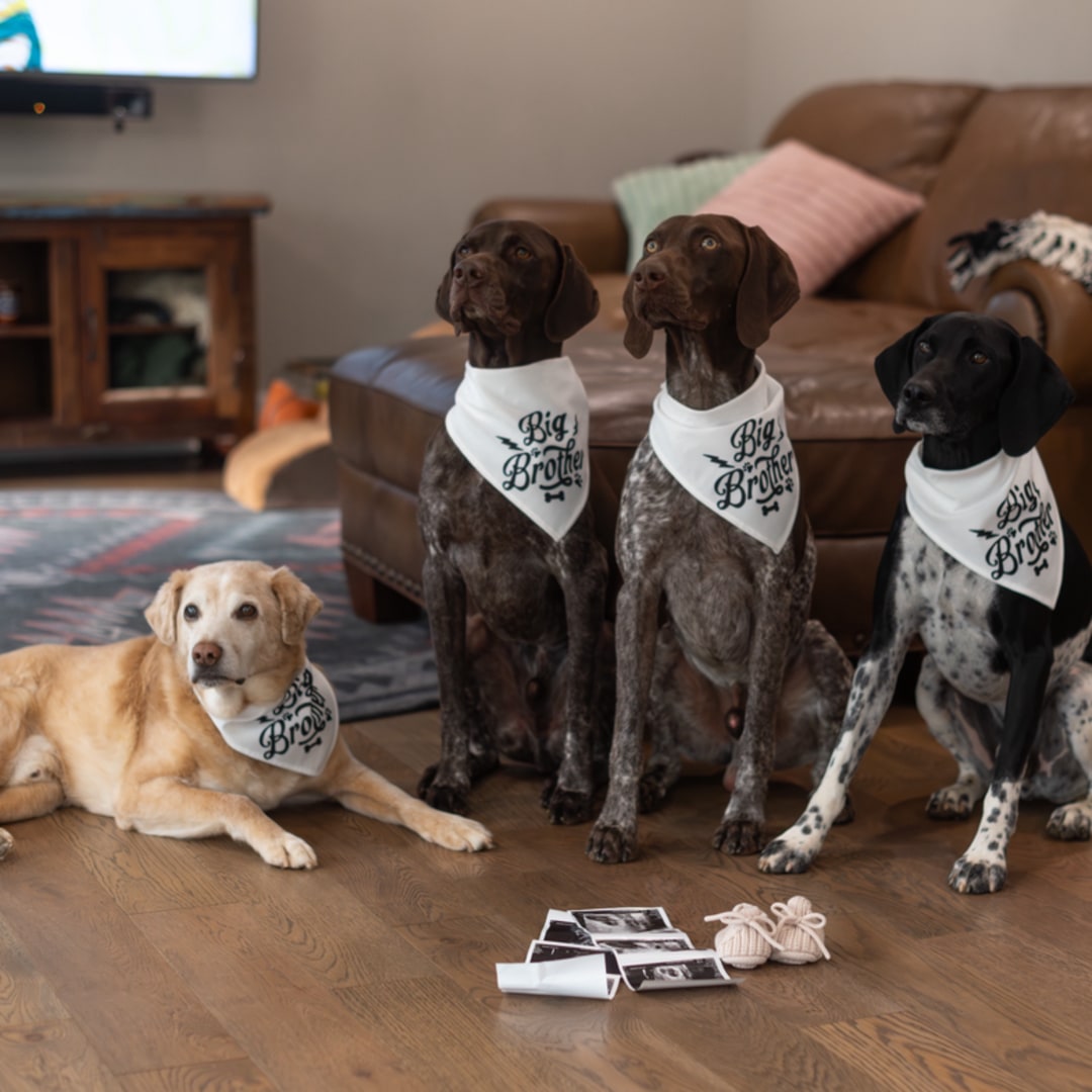 Photo shared by Derek for their Babylist baby registry.