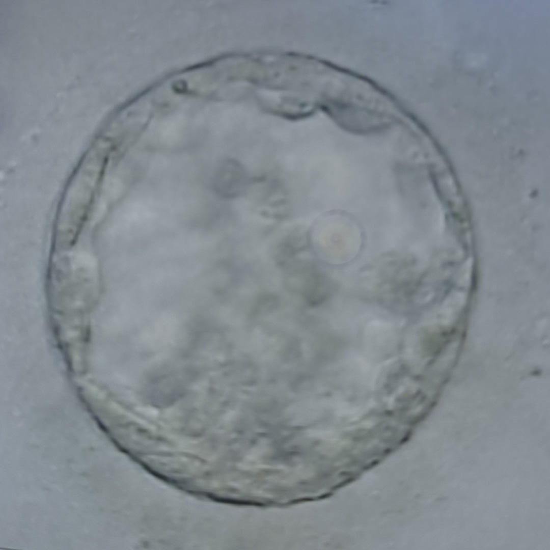 Photo shared by Hailey for their Babylist baby registry.