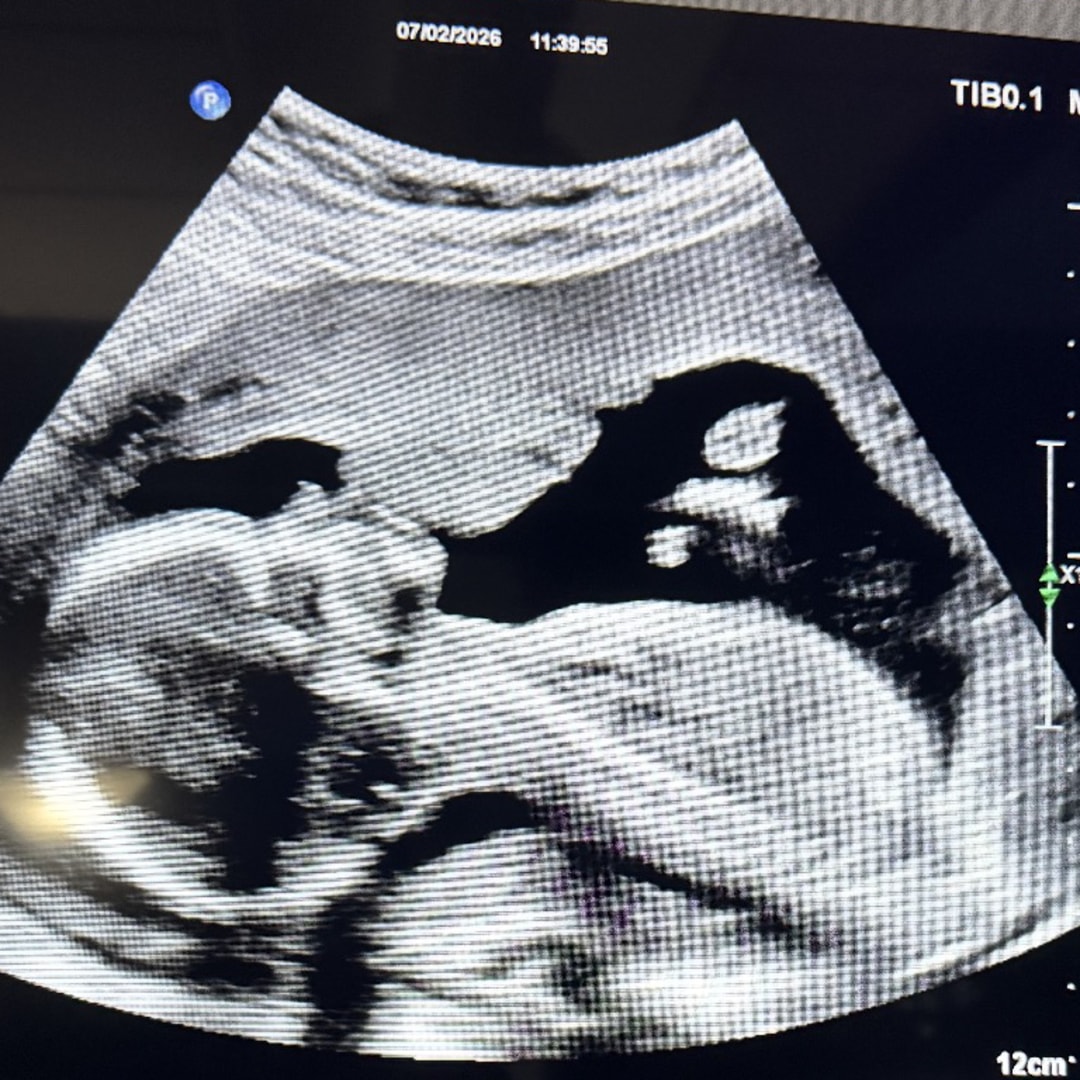 Photo shared by Raymani for their Babylist baby registry.