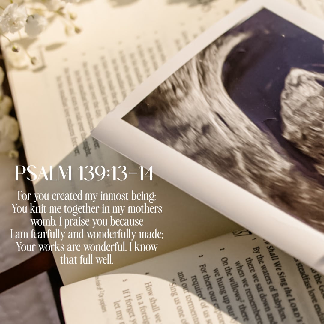 Photo shared by Brianna for their Babylist baby registry.