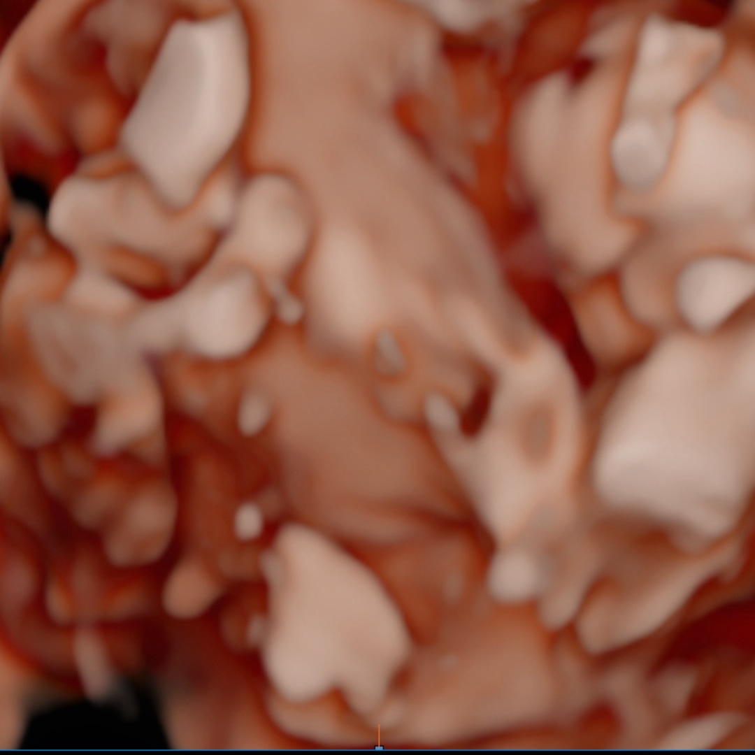 Photo shared by Abbey for their Babylist baby registry.