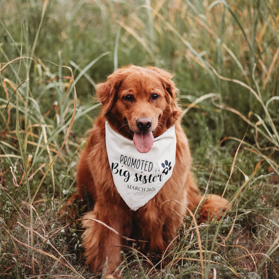 Photo shared by Mandy for their Babylist baby registry.