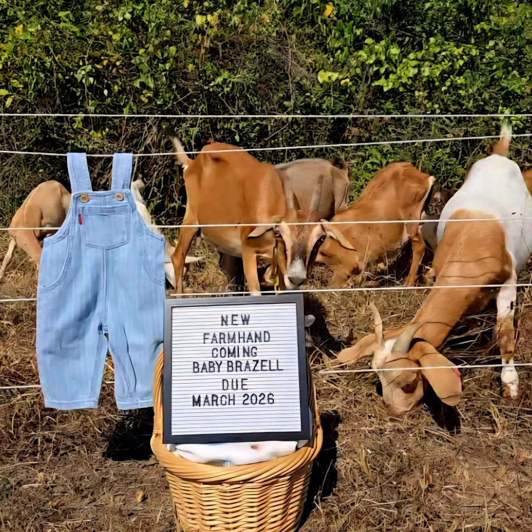 Photo shared by Danielle for their Babylist baby registry.