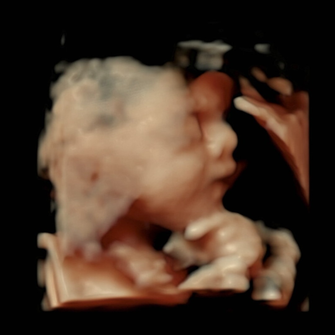 Photo shared by Tiffany for their Babylist baby registry.