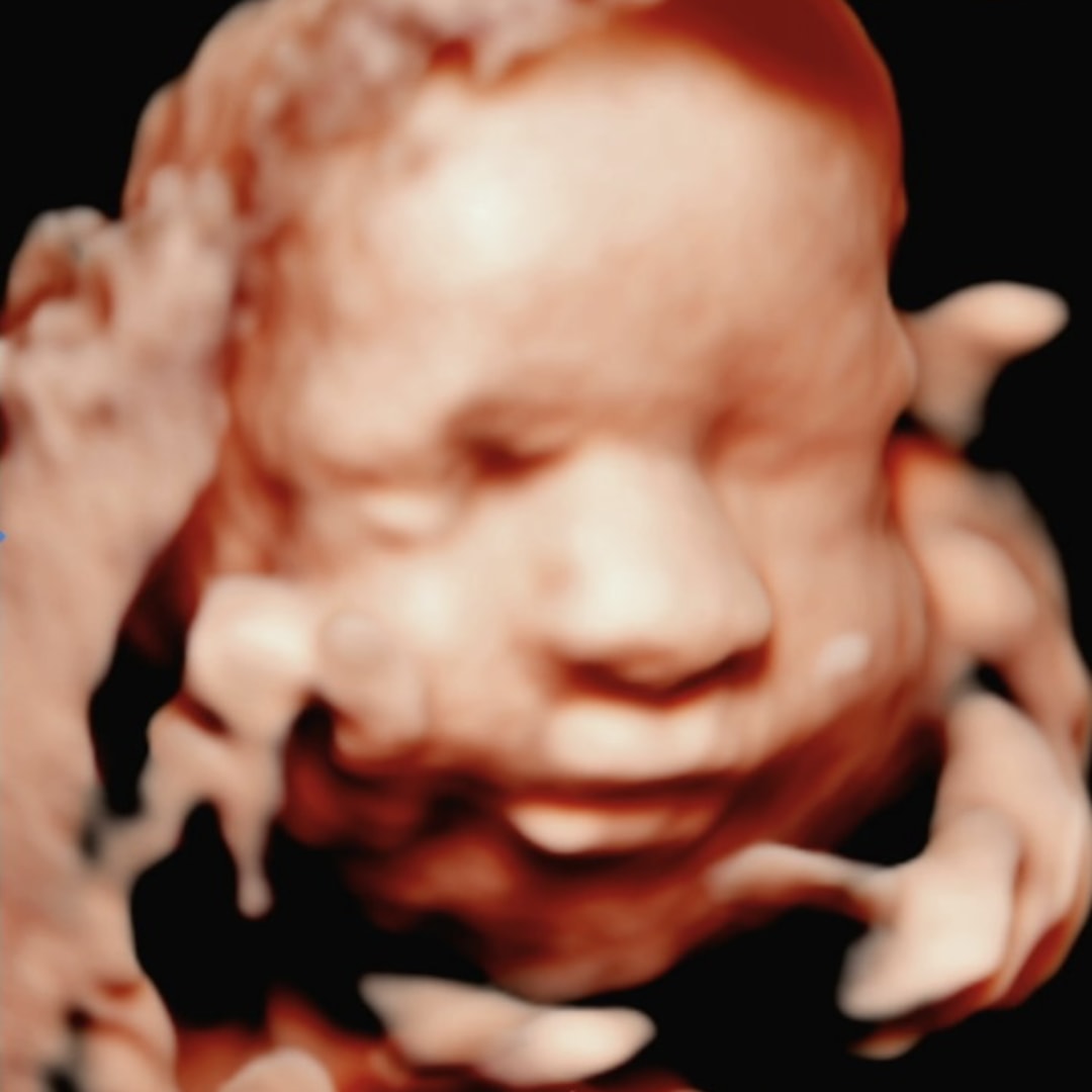 Photo shared by Yajaira for their Babylist baby registry.